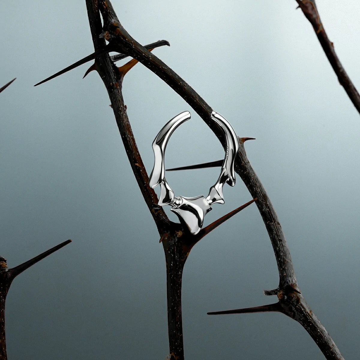SPINAL JOINT OPEN RINGS