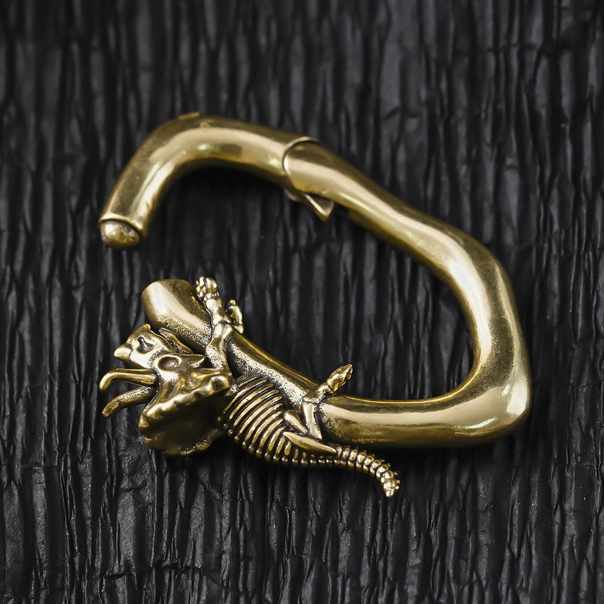 TRICERATOPS FOSSIL EAR WEIGHTS
