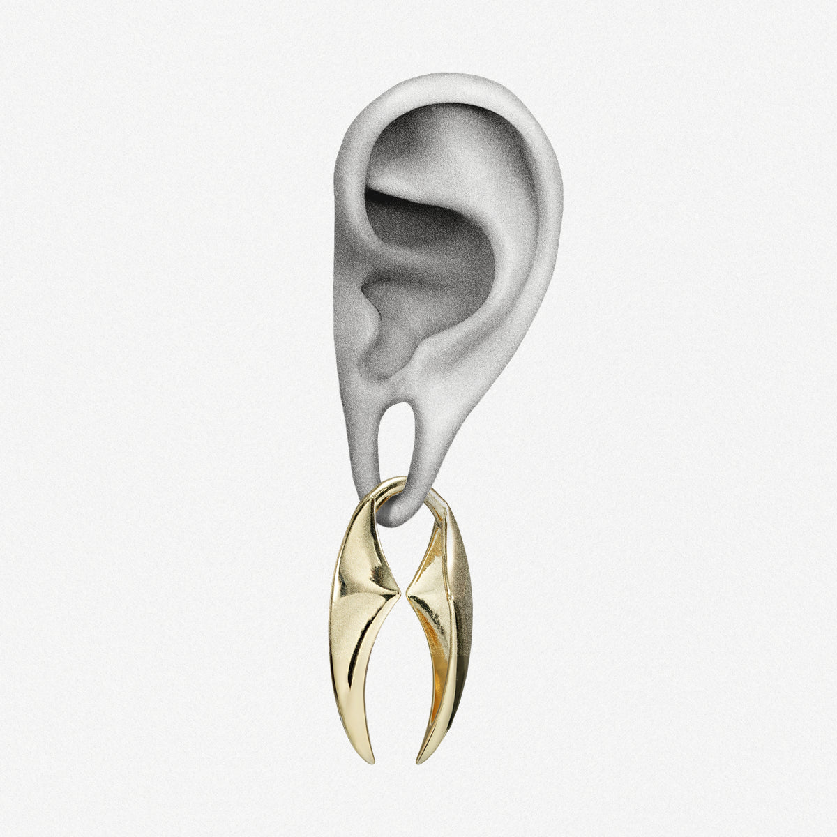 PREDATOR CURVE EAR WEIGHTS