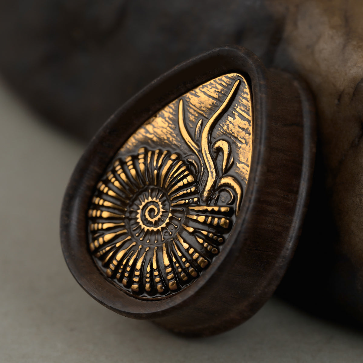 AMMONITE RELIC PLUGS