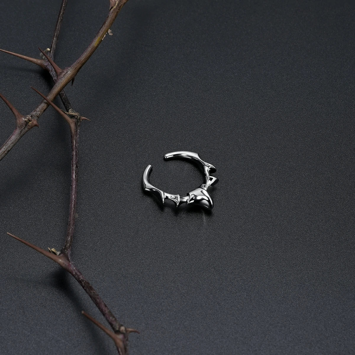 SPINAL JOINT OPEN RINGS