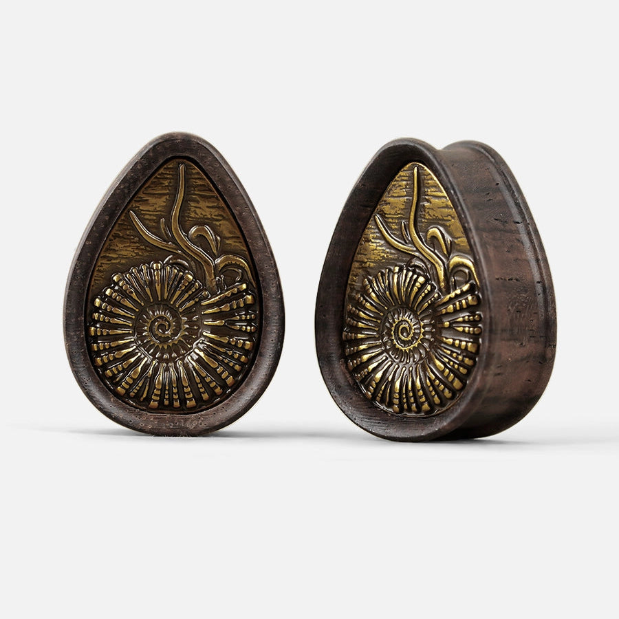AMMONITE RELIC PLUGS