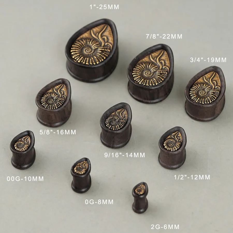 AMMONITE RELIC PLUGS