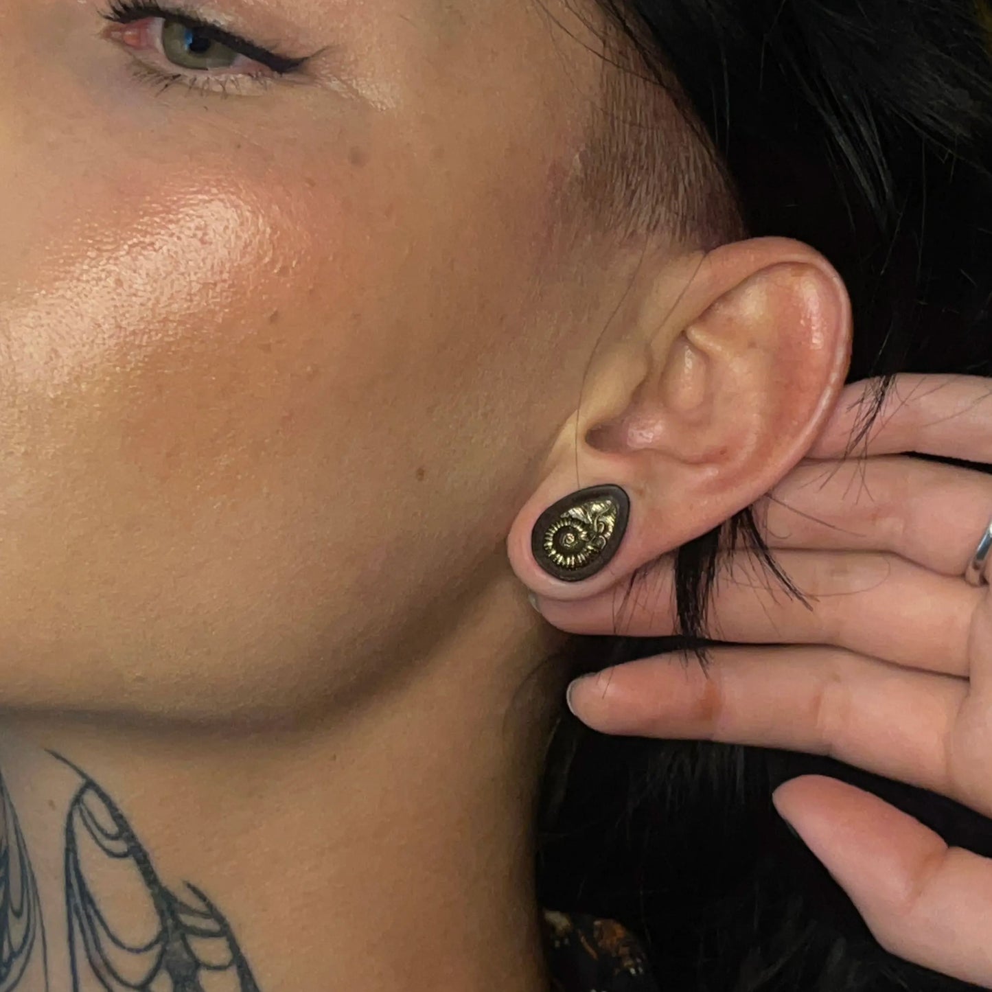 AMMONITE RELIC PLUGS