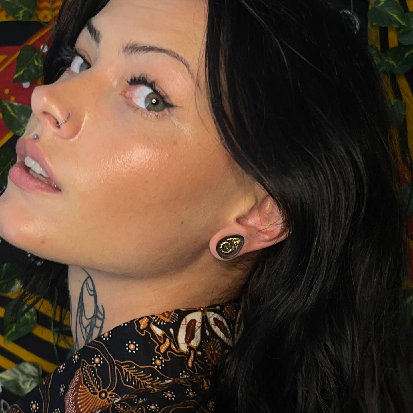 AMMONITE RELIC PLUGS