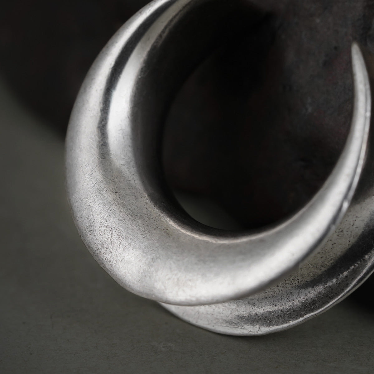 Close-up of silver Lunar Eclipse tunnel with smooth crescent opening