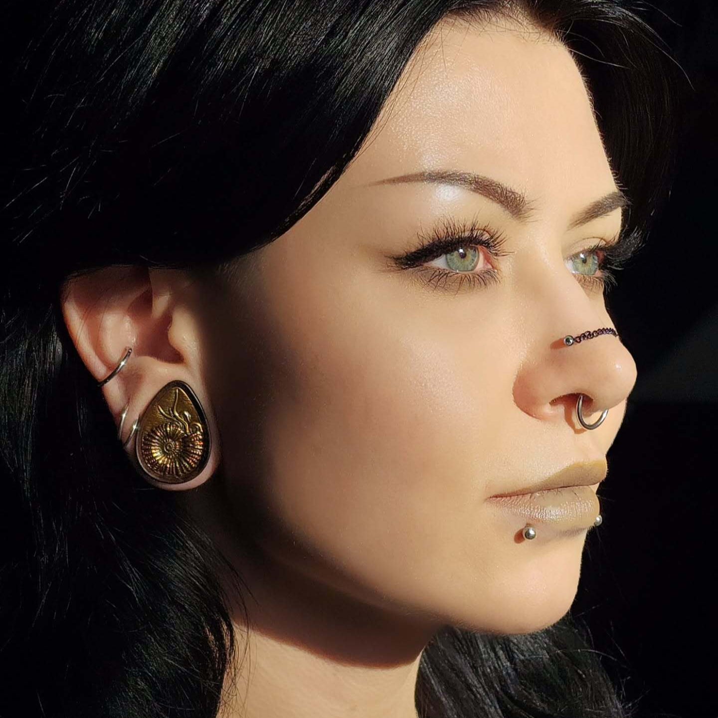 AMMONITE RELIC PLUGS