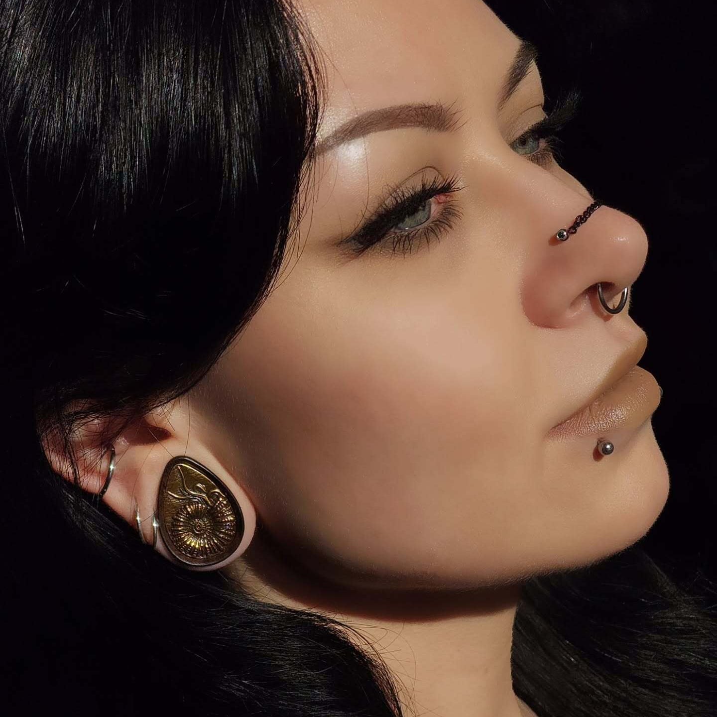 AMMONITE RELIC PLUGS
