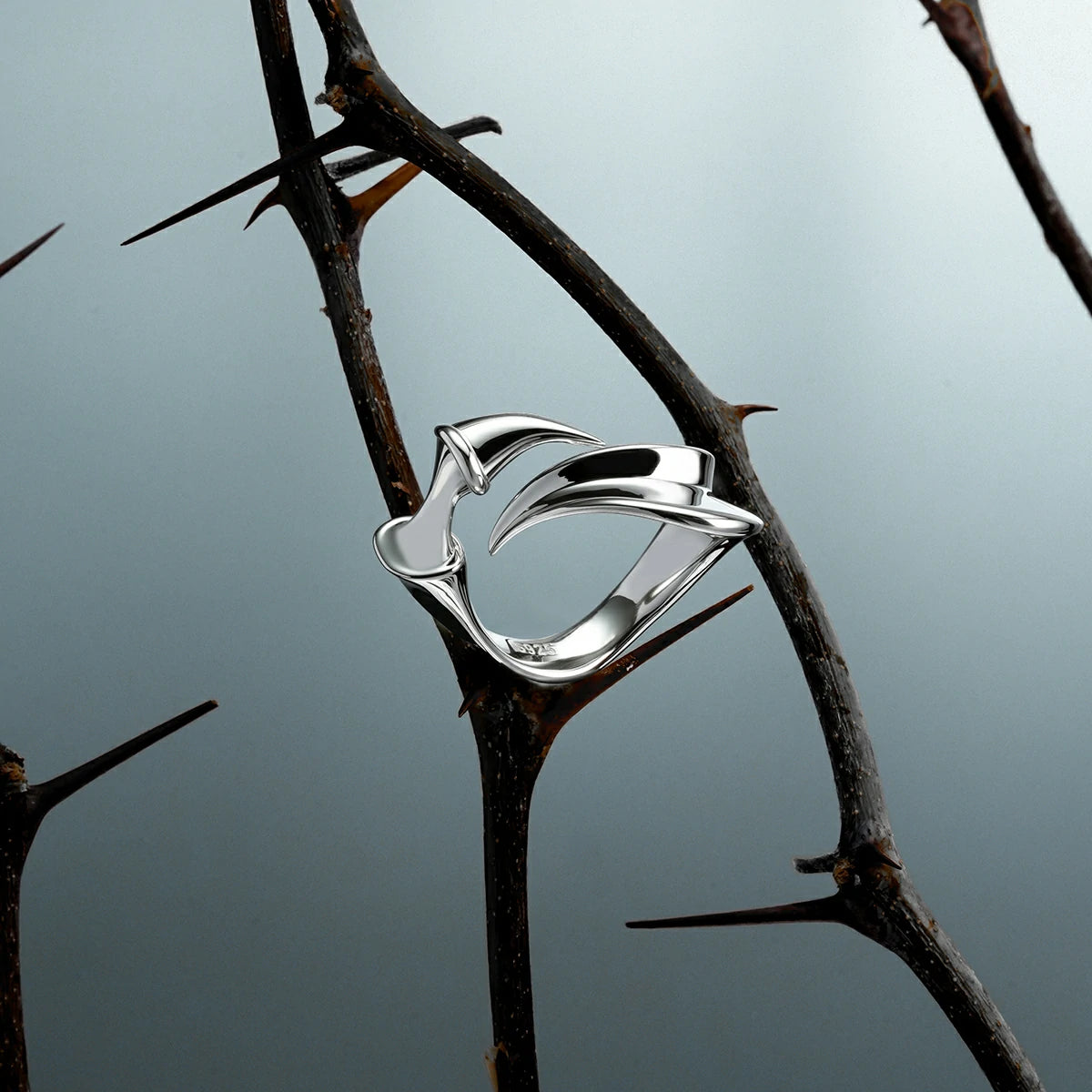 OPEN VERTEBRA RINGS