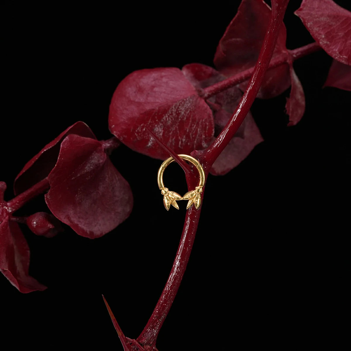 INSECT SENTINEL CLICKER