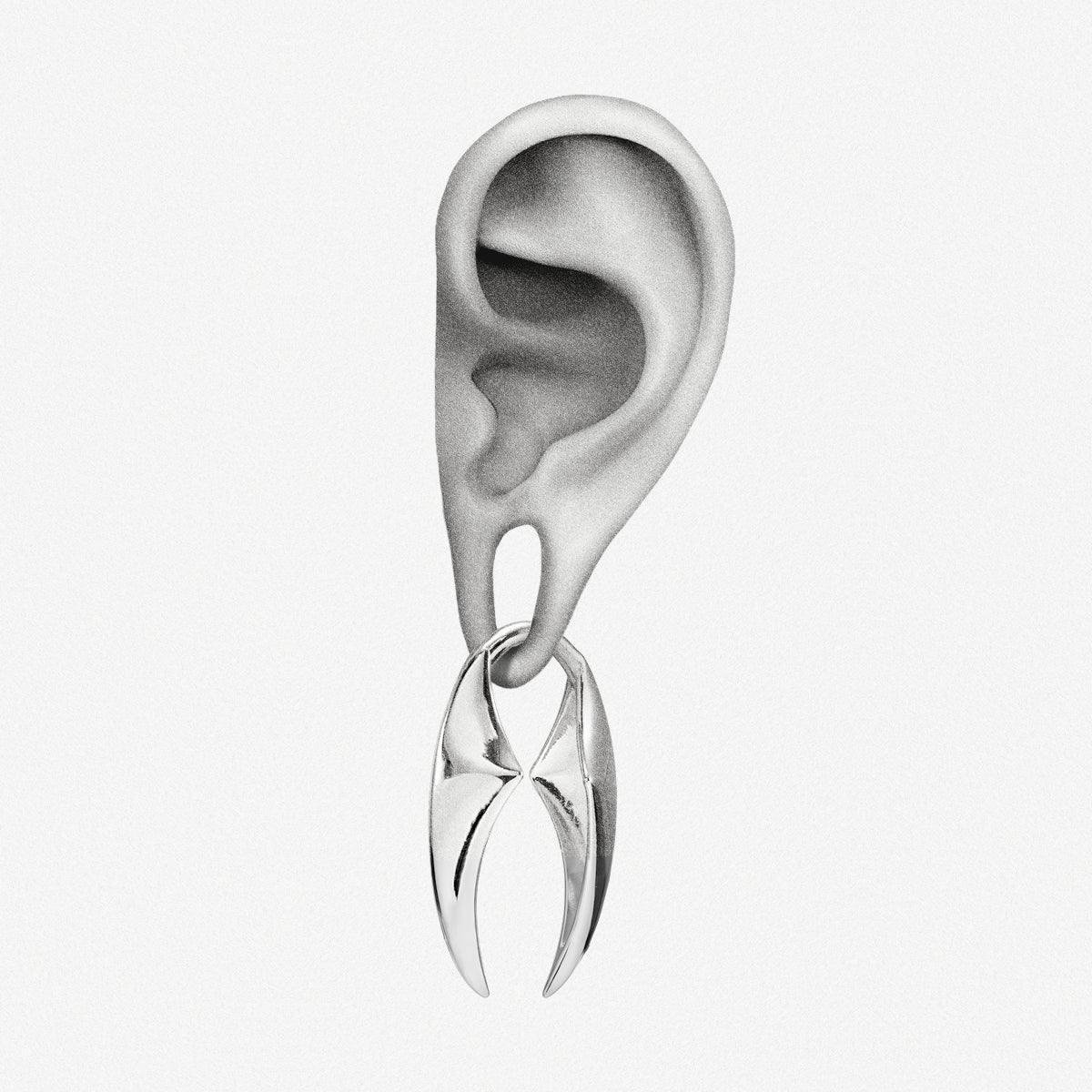 PREDATOR CURVE EAR WEIGHTS