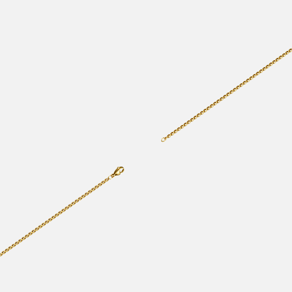 INSECT SIGIL NECKLACE