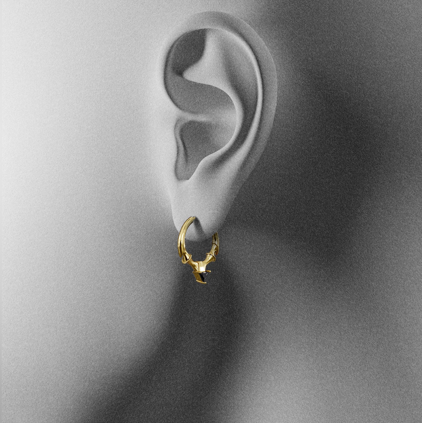 CREST STONE HOOP EARRINGS
