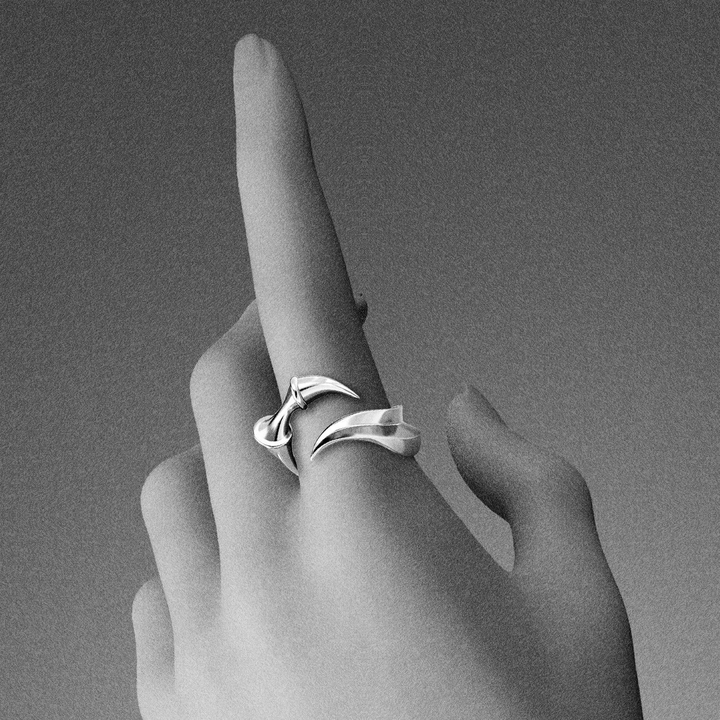 OPEN VERTEBRA RINGS