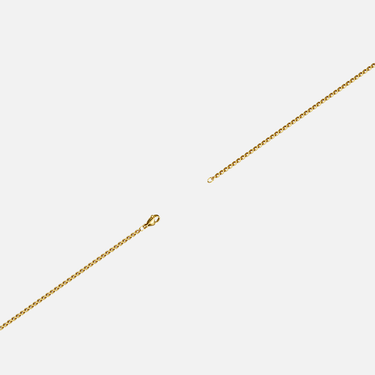 CARAPACE SIGIL NECKLACE