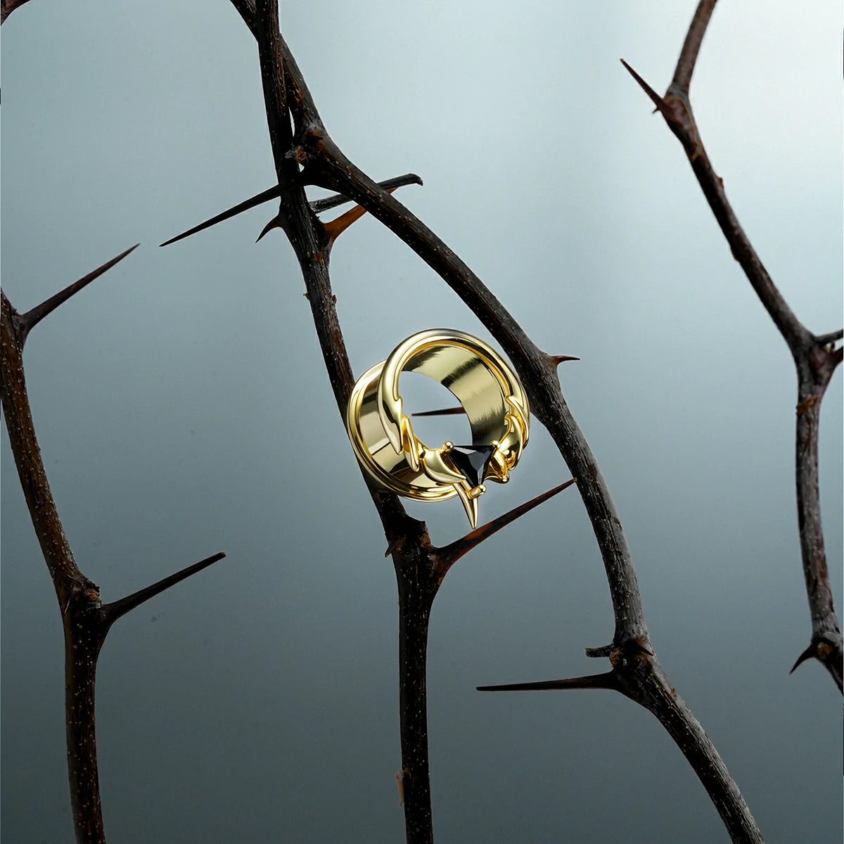 INTERLOCK SPINE TUNNELS