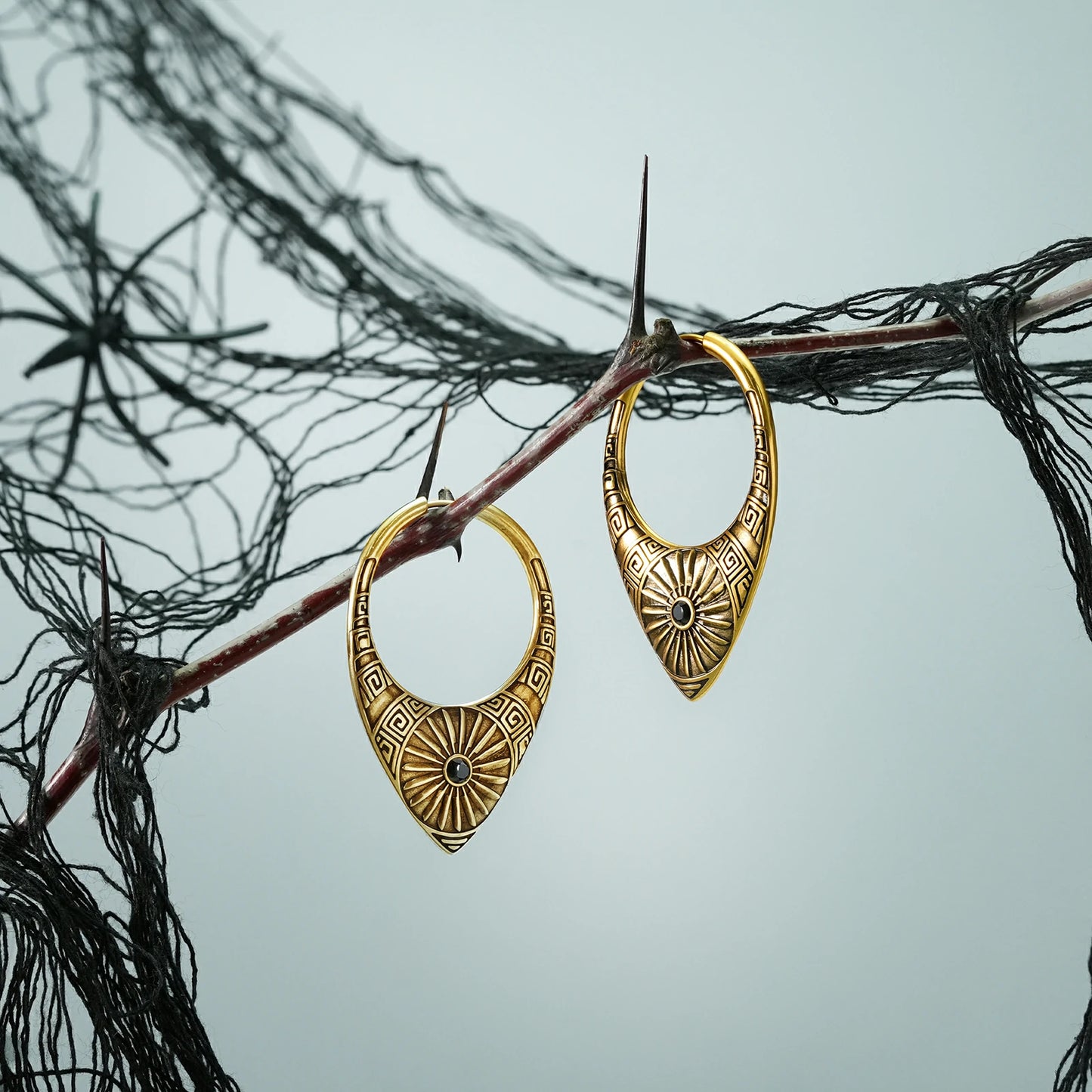 Pair of gold Ancient Sun hoop earrings hanging from a dark branch