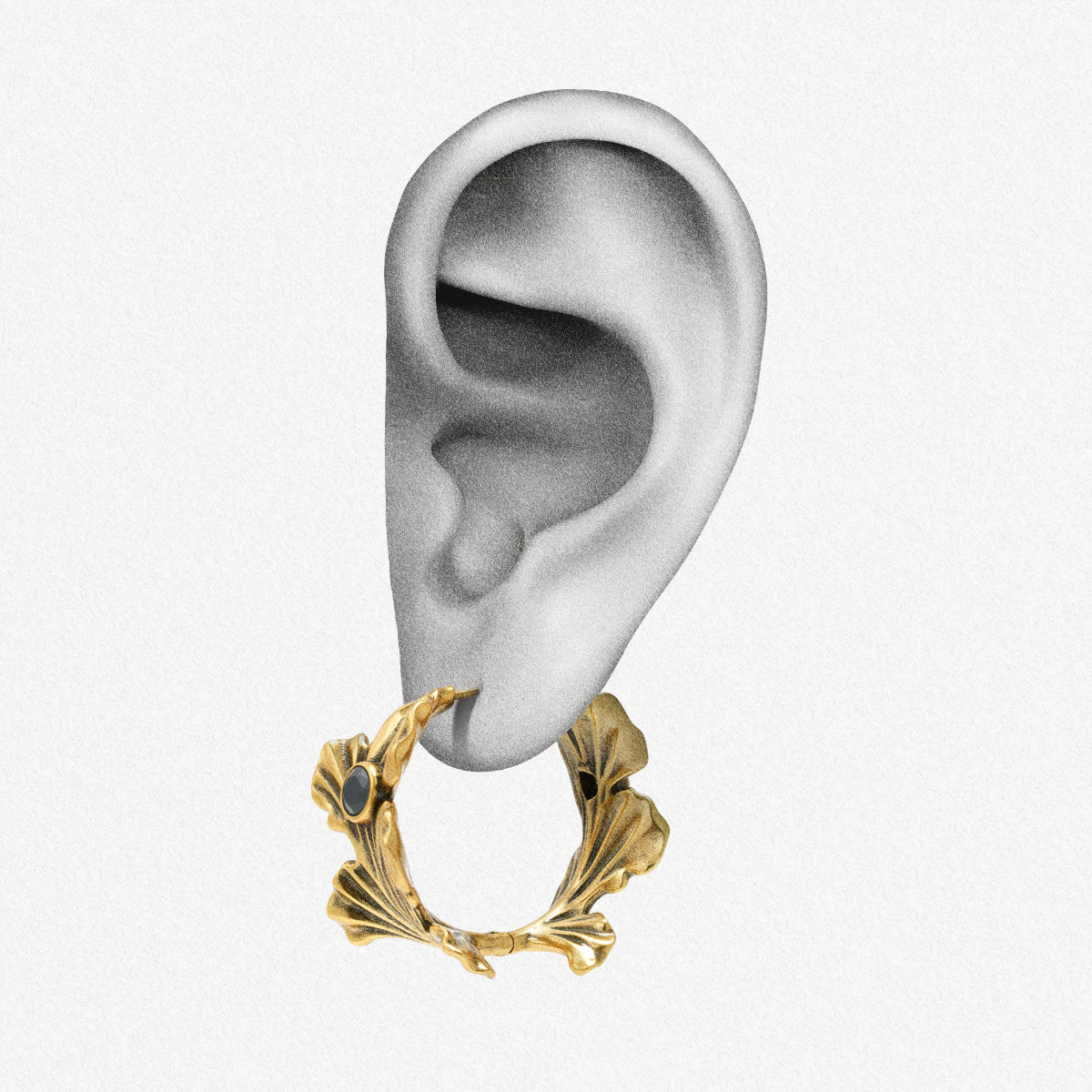 Gold Botanical Ginkgo hoop earring shown on an ear illustration