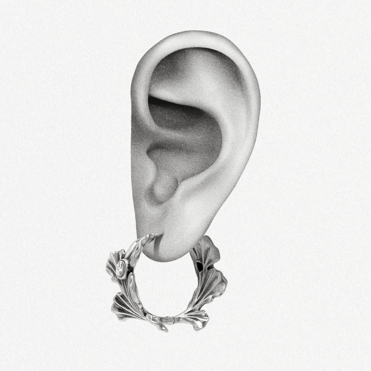 Silver Botanical Ginkgo hoop earring shown on an ear illustration
