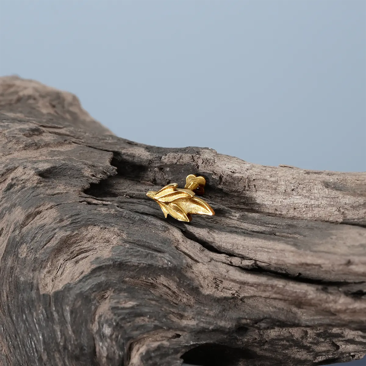 Gold Bramble Leaf Ear Studs displayed on weathered wood with bramble leaf design