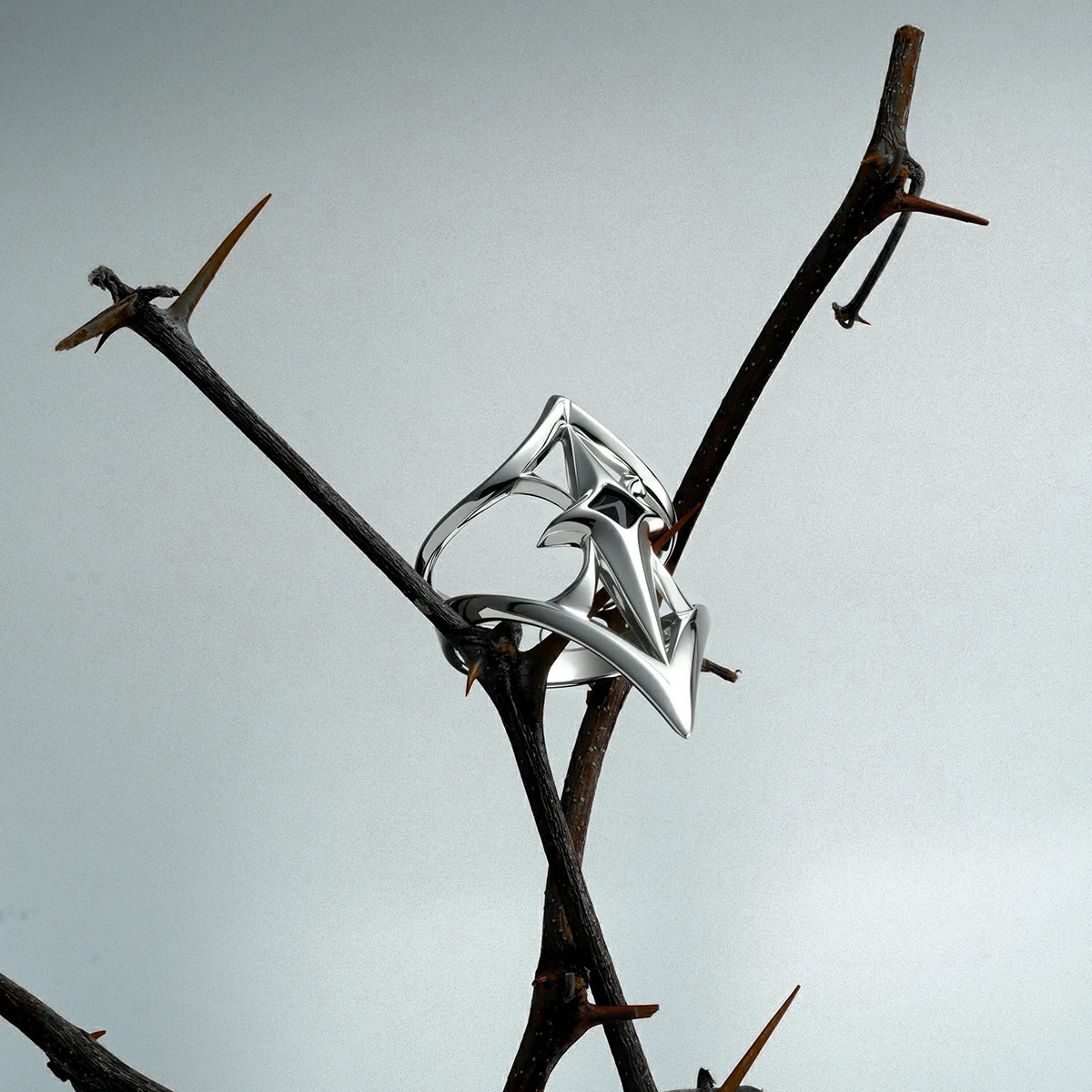 Silver-tone Crest Shield ring balanced on a thorn branch, showing its open pointed geometric face