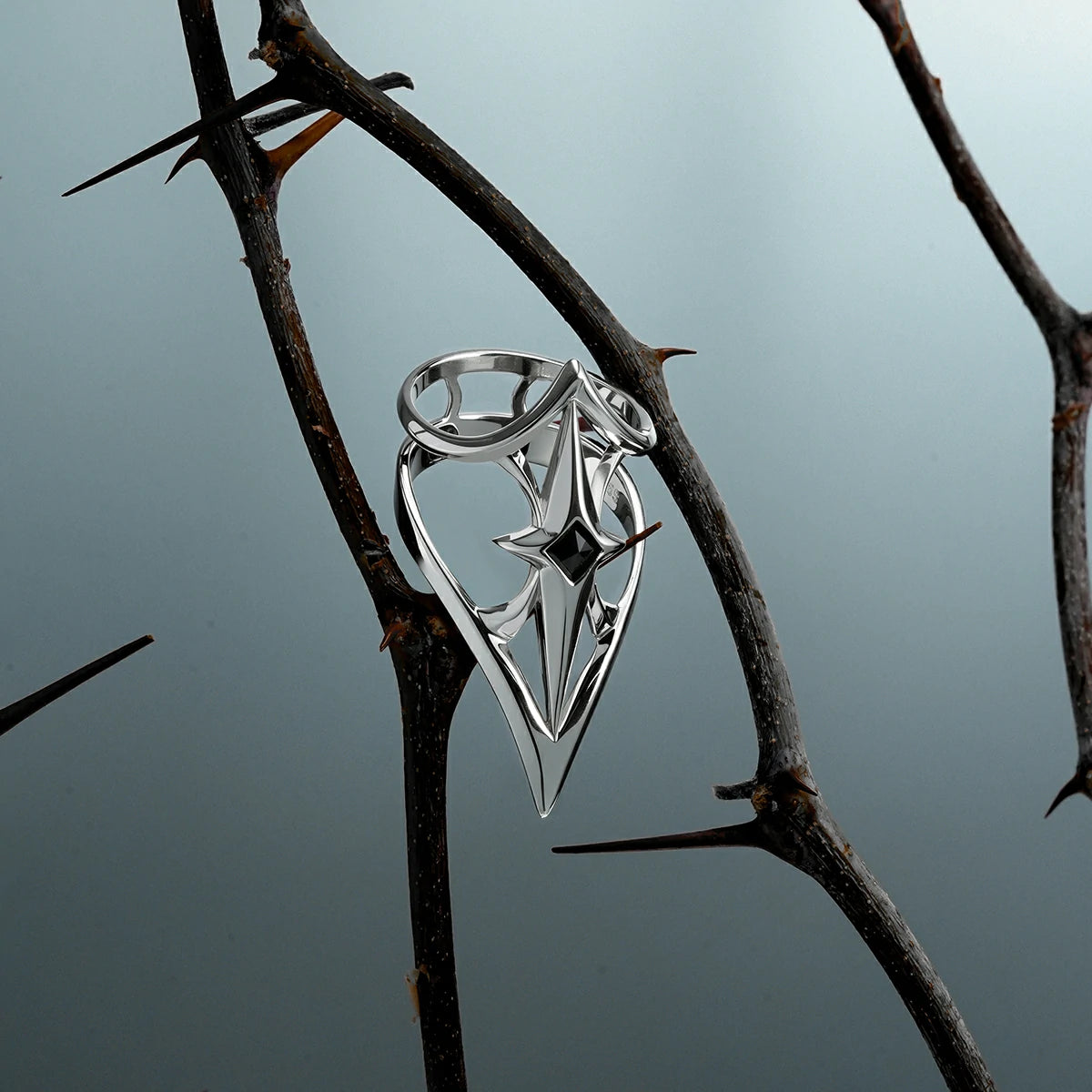 Silver-tone Crest Shield ring hanging from a dark thorn branch against a pale blue background