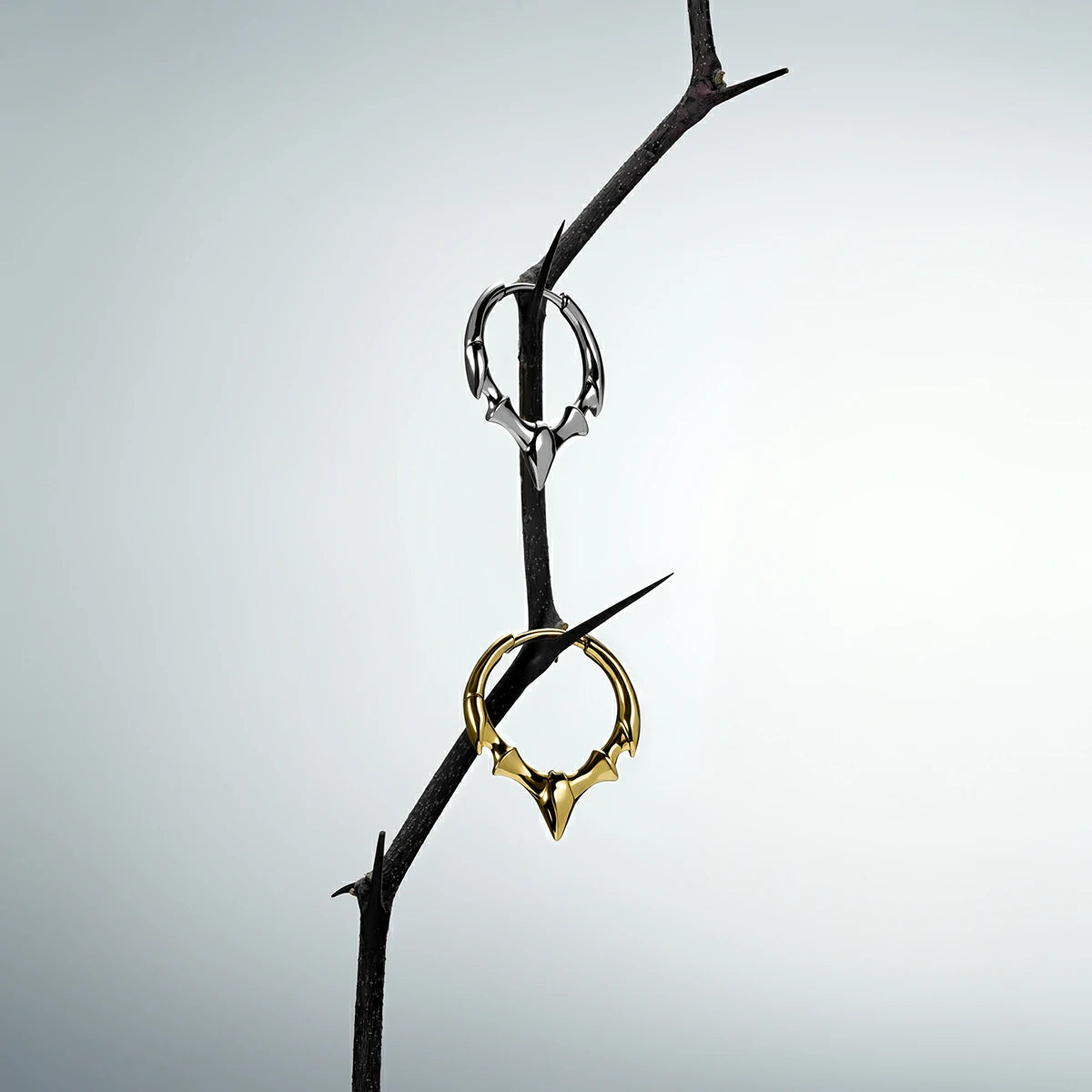 Silver and gold Fang Crest hoop earrings hanging from a dark thorn branch