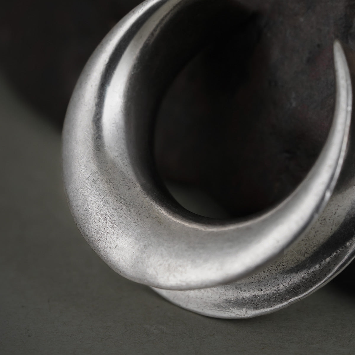 Close-up of silver Lunar Eclipse tunnel with smooth crescent opening