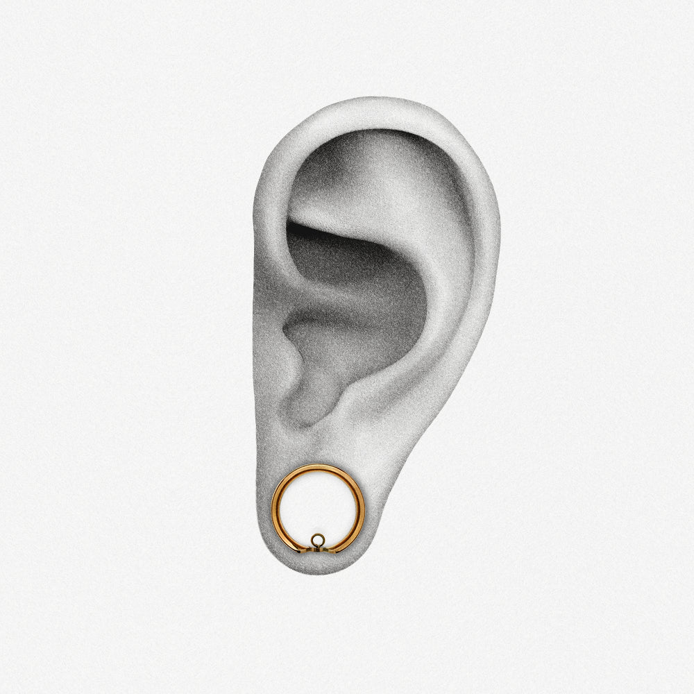 Gold-tone modular ring tunnel positioned in an illustrated earlobe to show the worn fit