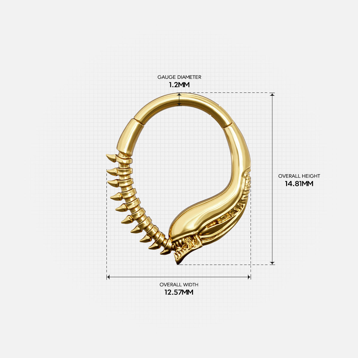 Size guide for the gold-tone Ouroboros Clicker showing the inner diameter and overall dimensions.