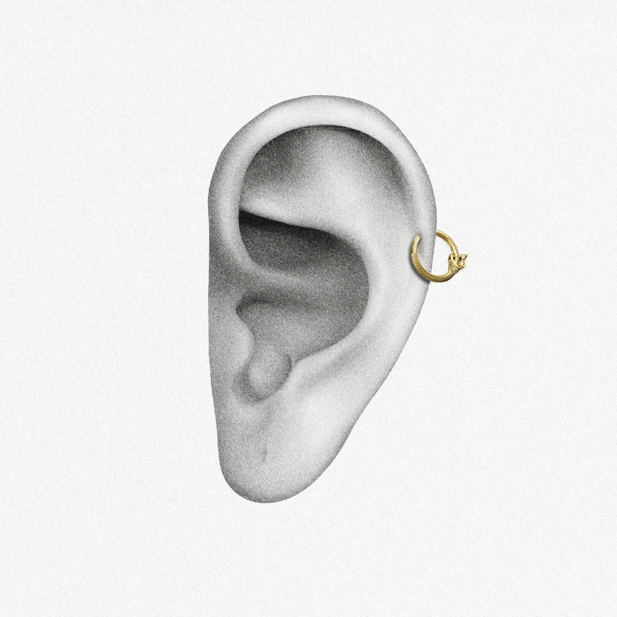 Gold Ouroboros Coil Clicker shown on ear placement with sculpted serpent coil design