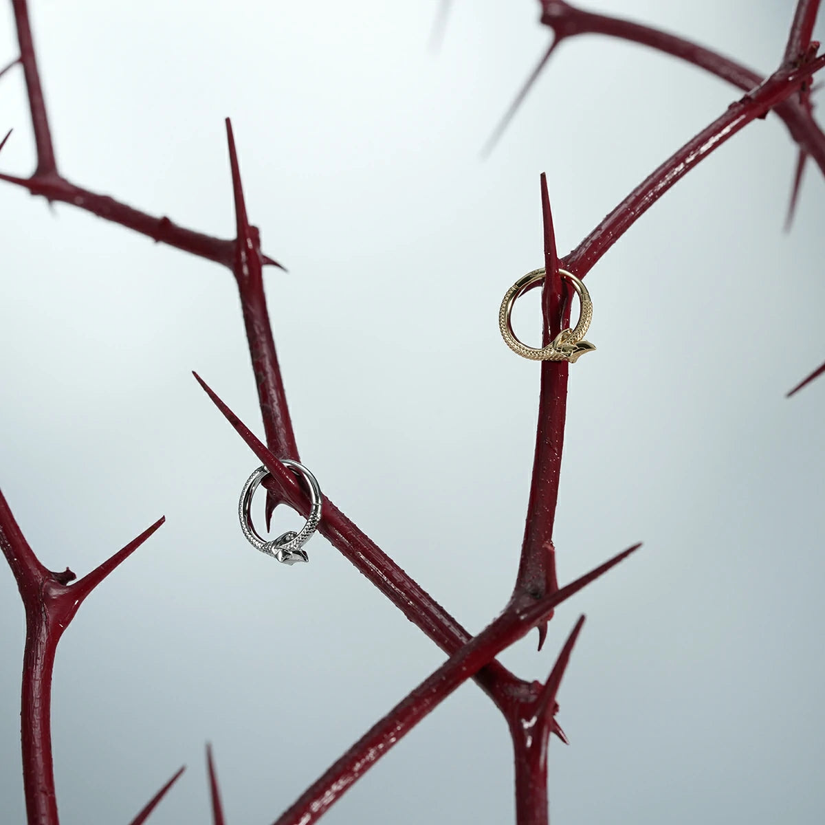 Gold and silver Ouroboros Coil clickers hanging from red thorn branches