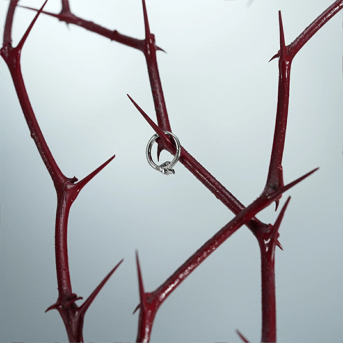 Pair of silver Ouroboros Coil clickers hanging from red thorn branches