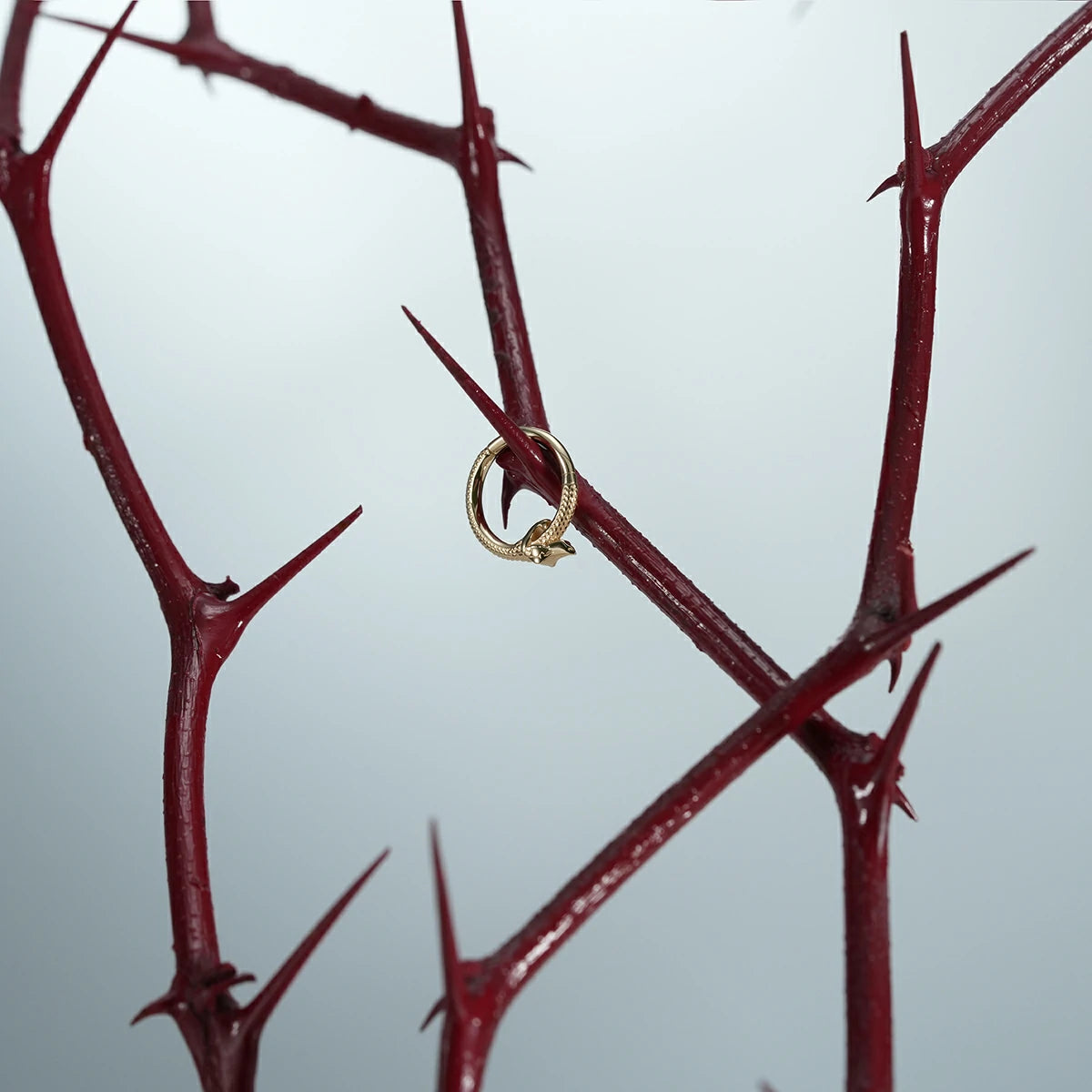 Single silver Ouroboros Coil clicker hanging from a red thorn branch