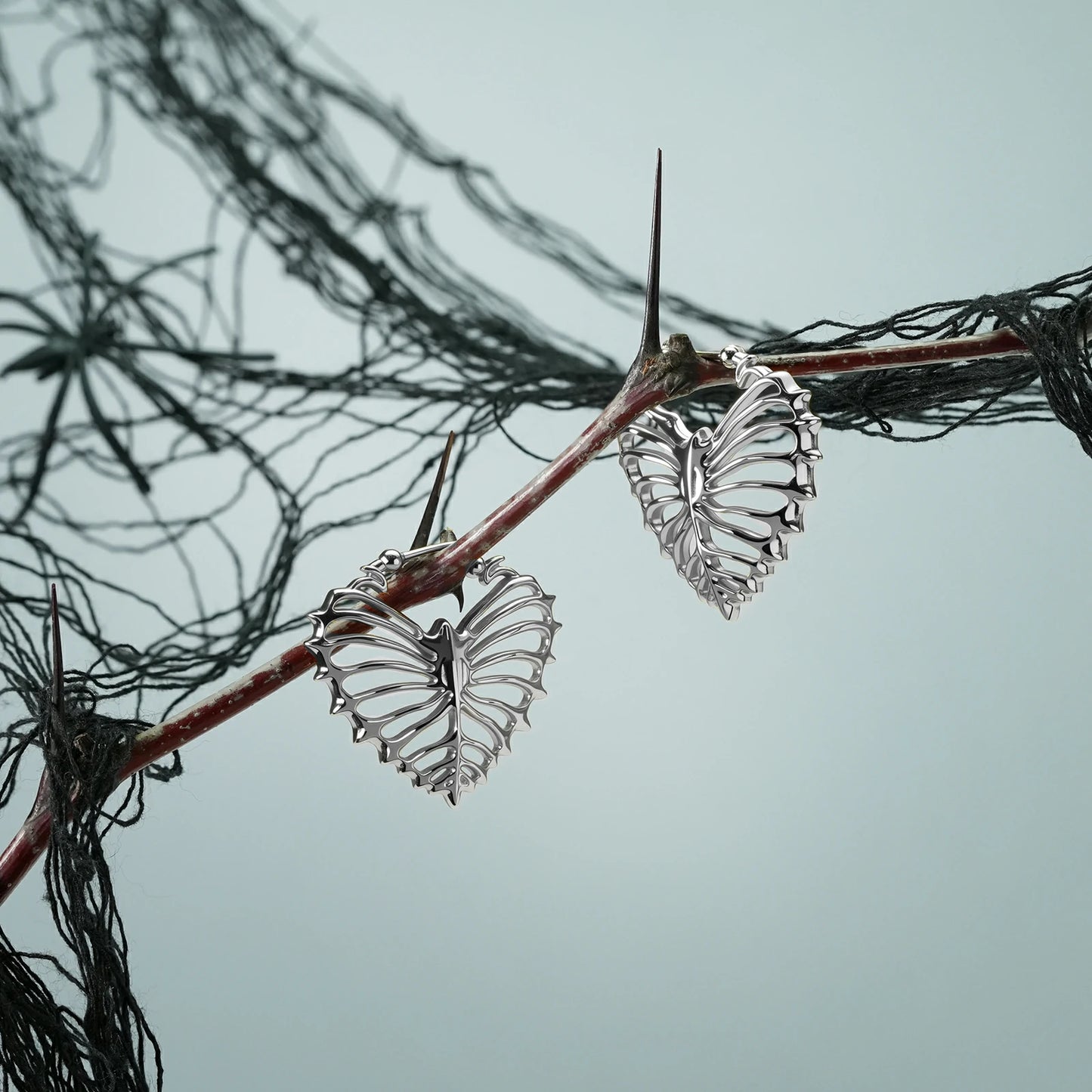 Pair of silver Ribheart earrings hanging from a dark branch