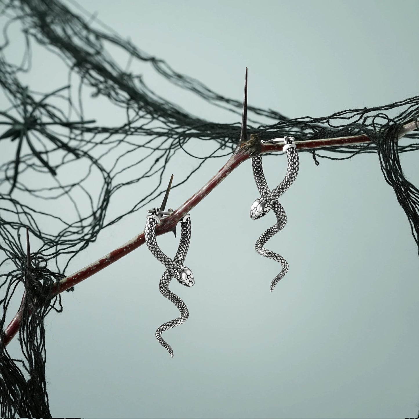 Pair of silver Serpent Grace hoop earrings hanging from a dark branch