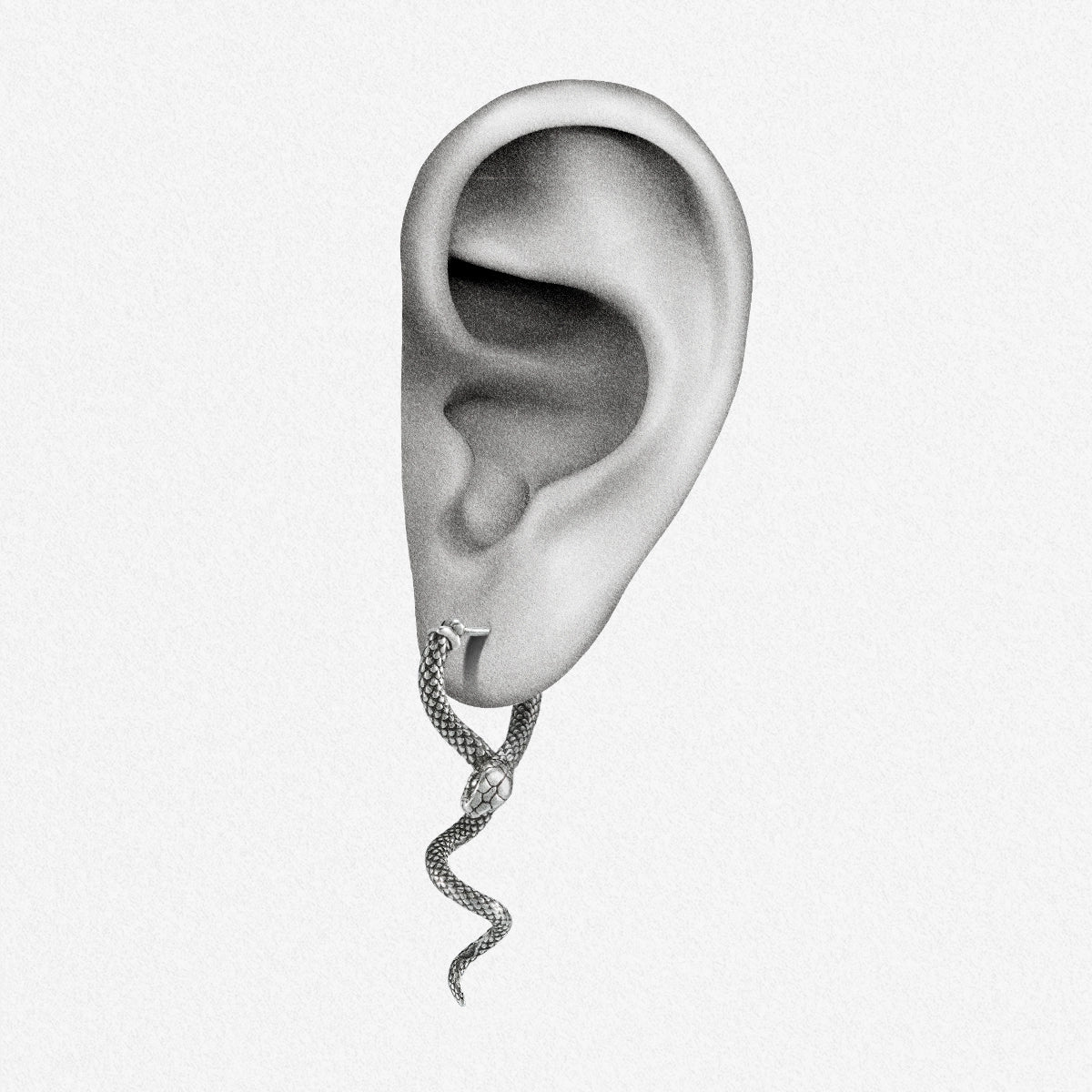 Illustration of an ear wearing a small silver-tone serpent earring dangling from the lobe