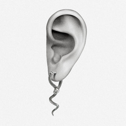 Illustration of an ear wearing a small silver-tone serpent earring dangling from the lobe